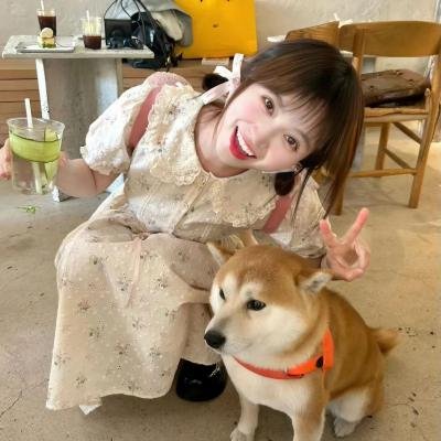 野马梅莎