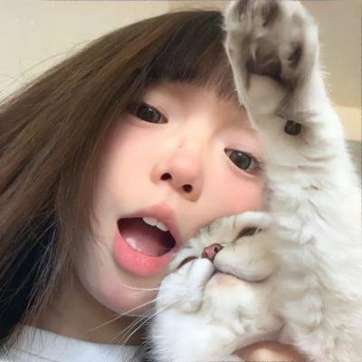 全面追缉